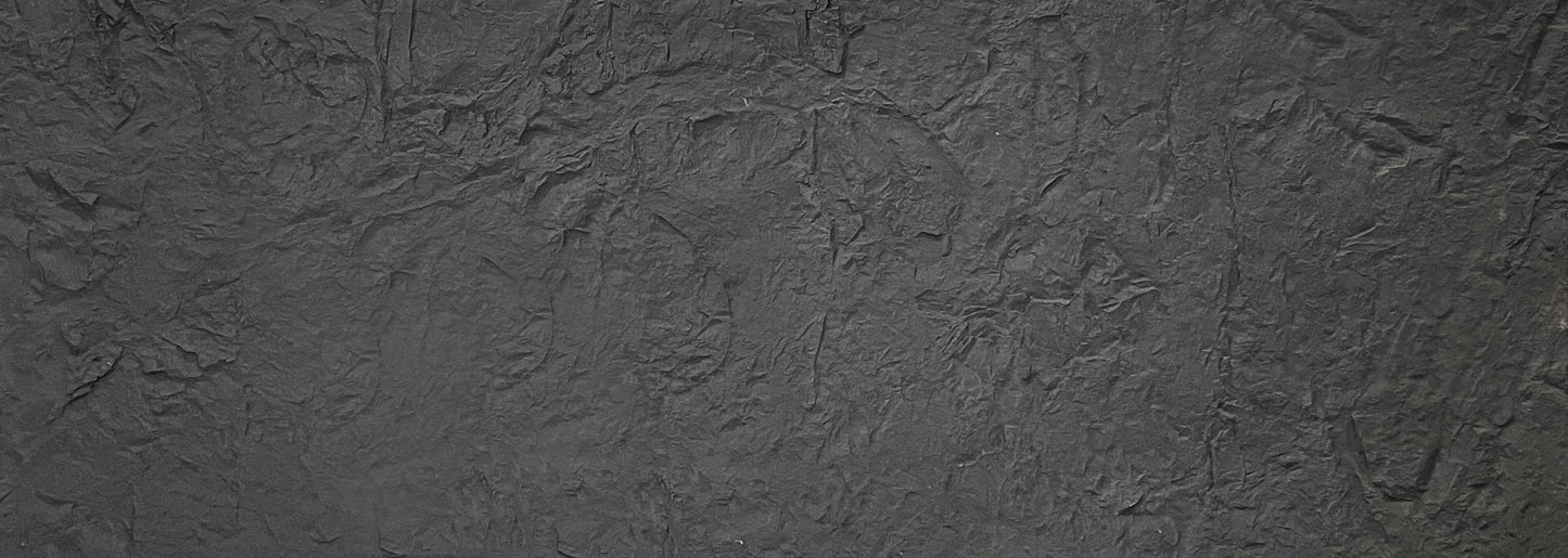 Large Rockcut Stone