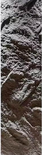 Large Stone Skins