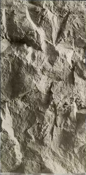 Mountain Rocks