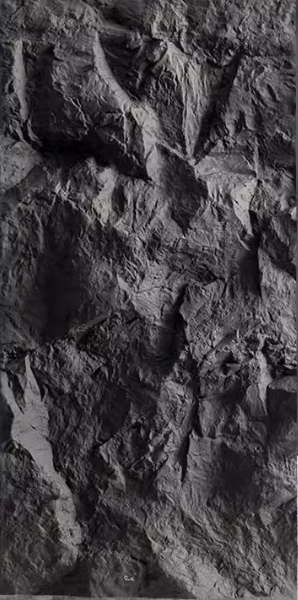 Mountain Rocks